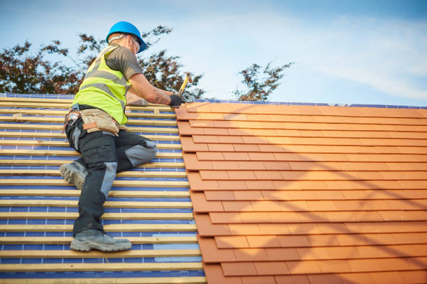 Best Roof Ventilation Installation  in Livermore, CA